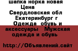 шапка норка новая › Цена ­ 4 000 - Свердловская обл., Екатеринбург г. Одежда, обувь и аксессуары » Мужская одежда и обувь   